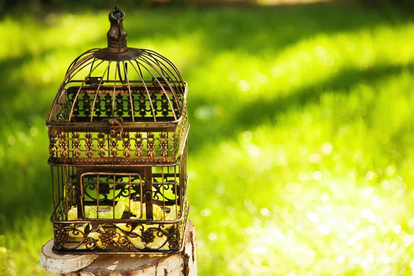 Düğün dekorasyonu. ahşap plaket yazıt düğün yüzünden. Düğün bir tabak yeşil arka plan ve bir çeşme. Düğün süslemeleri güzel. yaz düğün kutlama.