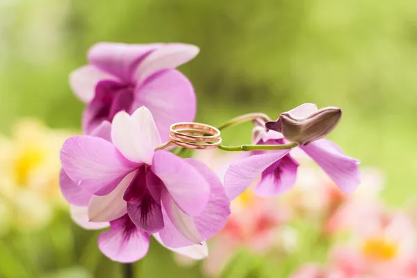 Celebração de casamento de verão. Flores do casamento e anéis de casamento recém-casados. Belamente decorado com flores . — Fotografia de Stock