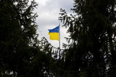 Ukrayna ulusal bayrağı. Avrupa ülkesinin özgürlüğü ve bağımsızlığıyla ilgili metinler için yatay bayrak.