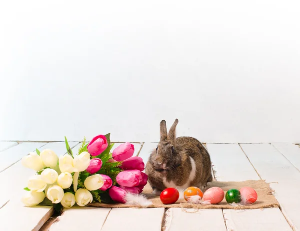 复活节兔子和鸡蛋在木地板上 — 图库照片