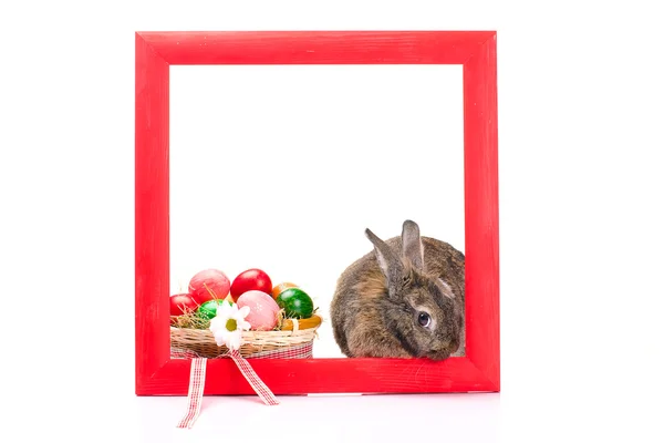 塗られた赤い木製フレームの内側のイースターのウサギ — ストック写真