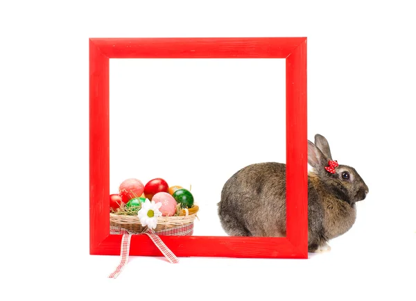 Lapin de Pâques à l'intérieur peint cadre en bois rouge — Photo