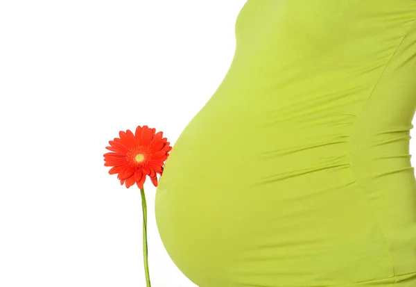 Беременность крупным планом живота — стоковое фото