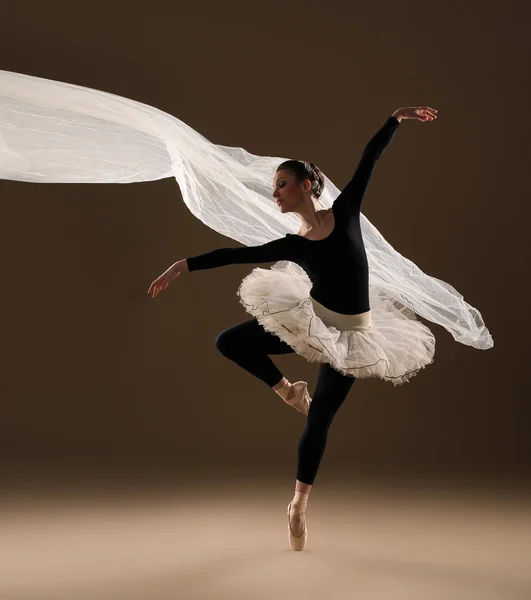 Bailarina de ballet — Foto de Stock