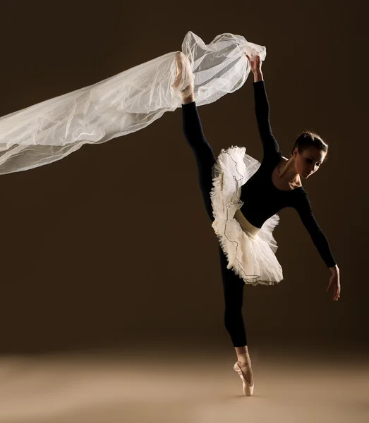 Ballet dancer — Stock Photo, Image