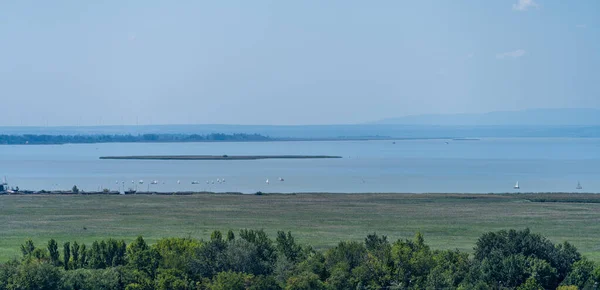 Aussicht von der Illmitzer Aussichtswarte auf den Neusiedler See