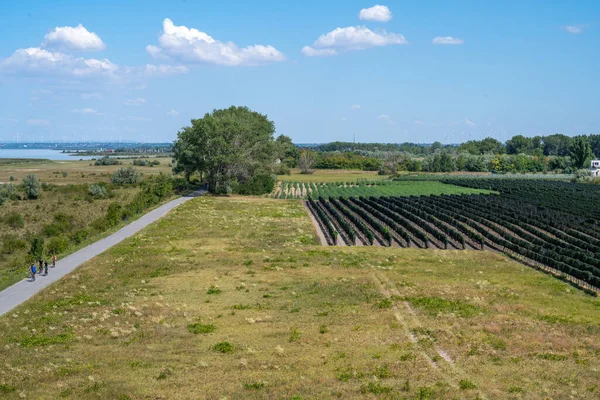 Aussicht von der Illmitzer Aussichtswarte auf den Neusiedler See
