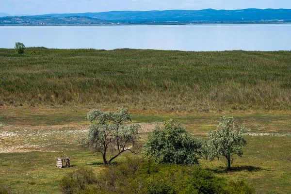 Aussicht von der Illmitzer Aussichtswarte auf den Neusiedler See