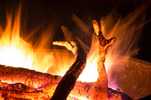 Yangın kasesinde büyüleyici alevler, yanan kamp ateşi.
