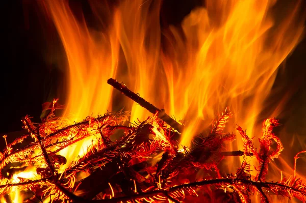 Yangın kasesinde büyüleyici alevler, yanan kamp ateşi.