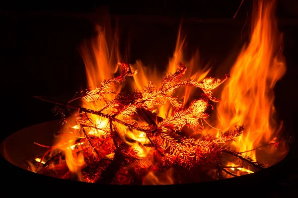 Flăcări Fascinante Într Castron Foc Foc Tabără Flăcări — Fotografie, imagine de stoc
