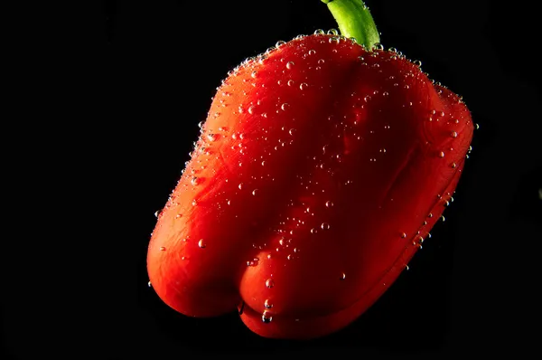 Gammal men utvilad paprika — Stockfoto