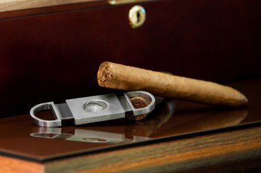 puro ve bir tahta üzerinde kesici