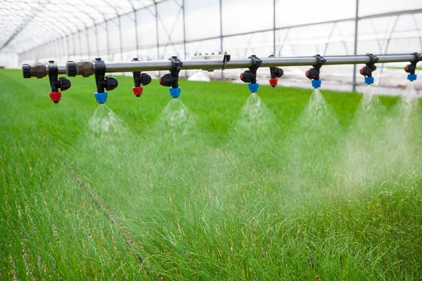 Sistema di irrigazione in serra in azione — Foto Stock
