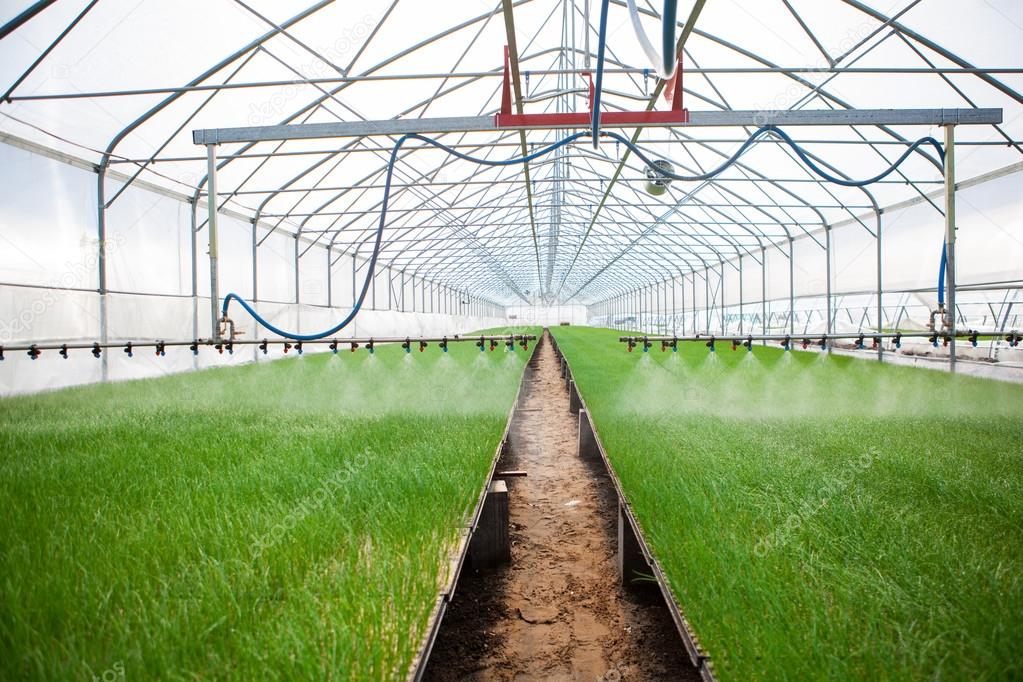 Greenhouse Water Catchment System at Lincoln Pie blog