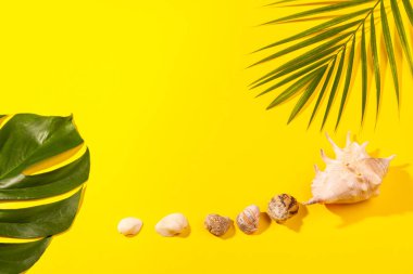 Canavar ve palmiye yapraklarının üst görüntüsü. Sarı arka planda deniz kabukları var. Plaj tatili kavramı, deniz turu, sıcak güneşli yaz. Reklam alanı