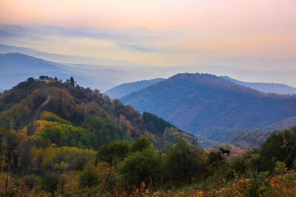 Осенний пейзаж Стоковое Фото