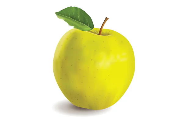 Manzana — Vector de stock