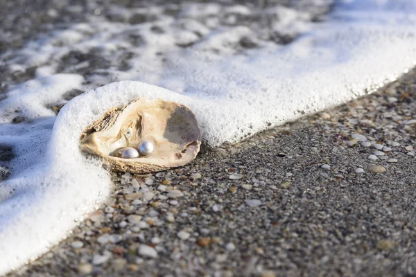 Australian pearls — Stock Photo, Image