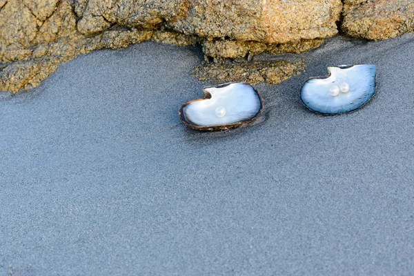 Pérolas brancas — Fotografia de Stock