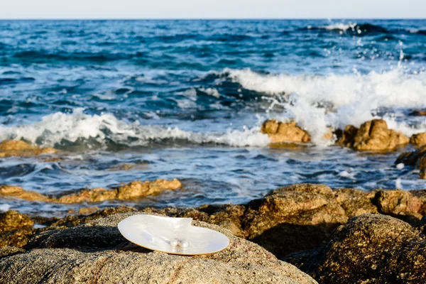 Pérolas brancas — Fotografia de Stock