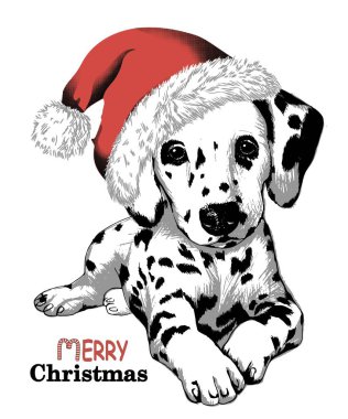 Kırmızı Noel Baba şapkalı şirin Dalmaçyalı yavru köpek. Noel vektör illüstrasyonu
