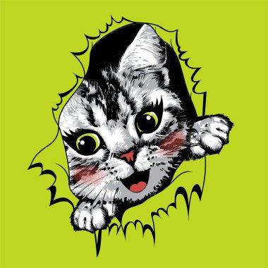 İçinde mutlu kedi suratı olan yırtık sarı kağıt. Vektör illüstrasyonu.