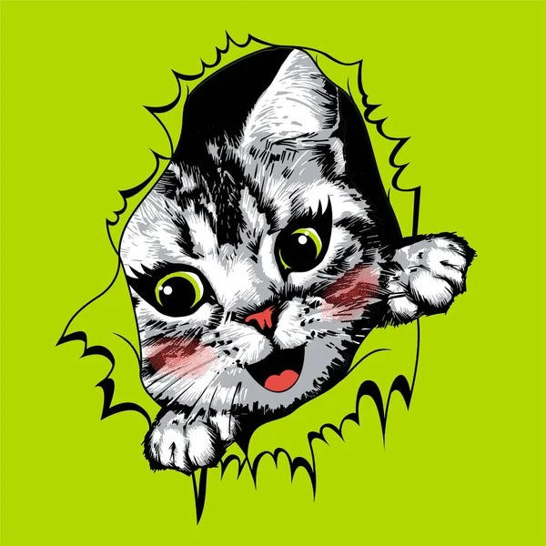 Papel Amarillo Rasgado Con Cara Gatito Feliz Dentro Ilustración Vectorial — Vector de stock