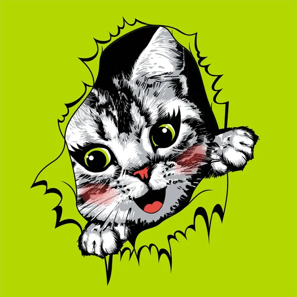Torn Yellow Paper Happy Kitten Face Vector Illustration — Stock vektor