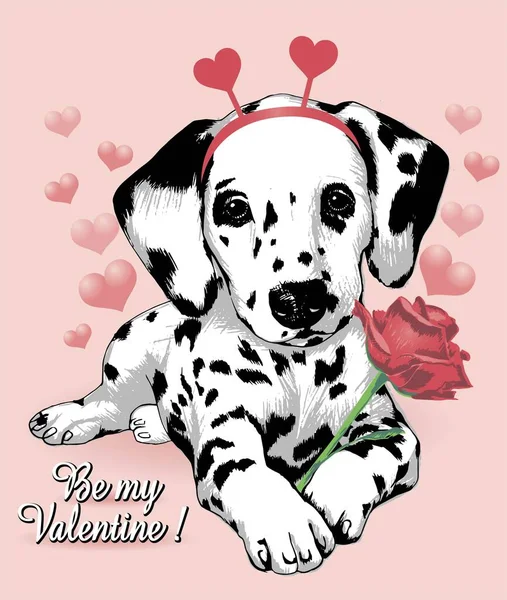 Cute Dalmatian Puppy Dog Red Rose Flower Slogan Valentine Hand — Stock vektor