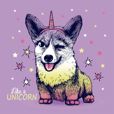 Corgi smile with unicorn horn and stars. Hand drawn vector illudtration. Print for kids t shrt.