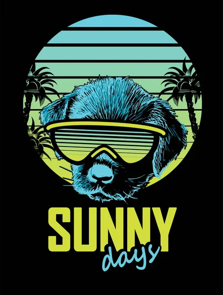 Puppy Sunglasses Background Sunset Palm Slogan Sunny Days Vector Illustration — Wektor stockowy