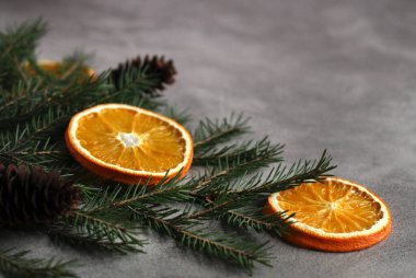 Portakal dilimlerinin gri beton arkaplanı ve kopyalama alanı olan ladin dallarının yerleşimi