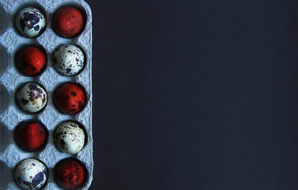 Розмальовані перепелині яйця в коробці на Великдень — стокове фото