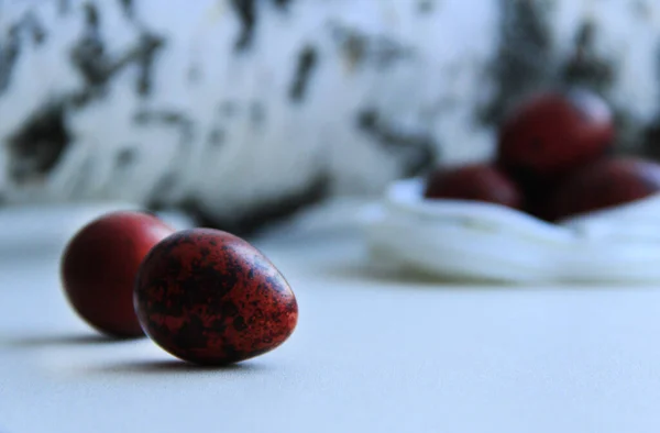Oeufs panachés de caille peints en rouge pour Pâques sur un fond clair — Photo