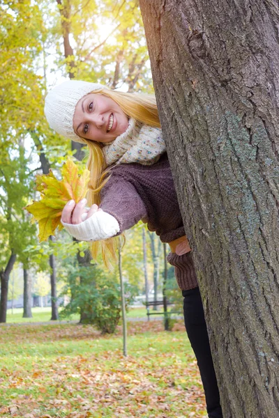 Autumn — Stock Photo, Image