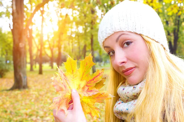 Autumn — Stock Photo, Image