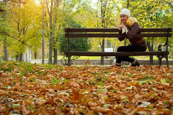 Autumn in park — Stock Photo, Image