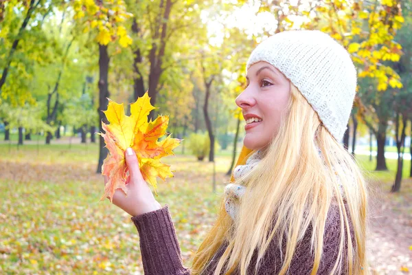 Autumn — Stock Photo, Image