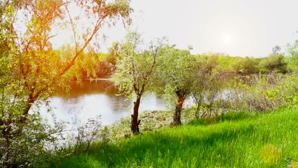 Río y naturaleza — Vídeos de Stock