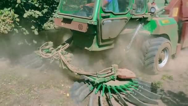 Sklizeň Lískových Oříšků Velké Plantáži Speciálním Strojem Klip — Stock video