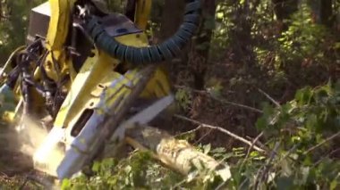 Modern Makinelerle Ormanları Kesme - Kış için Odun Hazırlama, Orijinal Ses ile Video Klibi