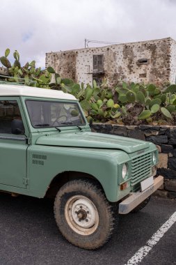Kaktüs dolu bir evin önünde eski bir off-road arabası.