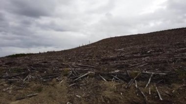 Logging in various areas in Canada