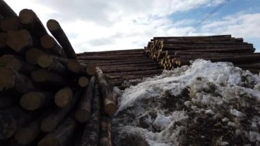Logging across Canada in different seasons