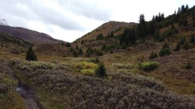 Jasper Alberta in the fall