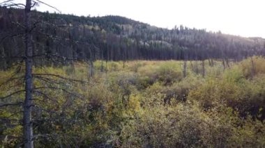 Jasper Alberta in the autumn