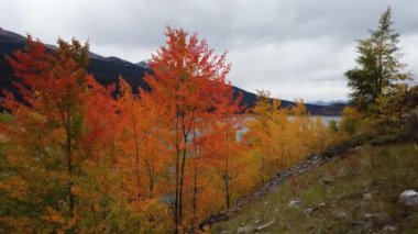 Jasper Alberta Canada in the autumn