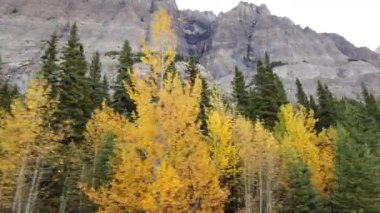 Jasper Alberta Canada in the autumn