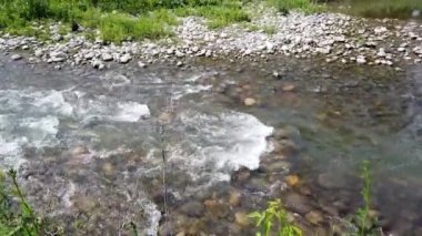 Calgary Alberta in the summer